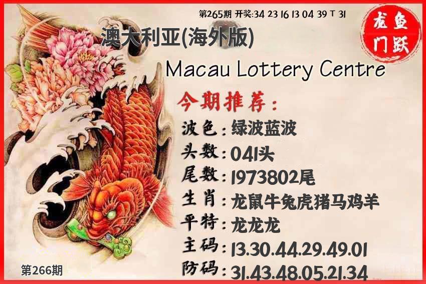 图片正在更新中……