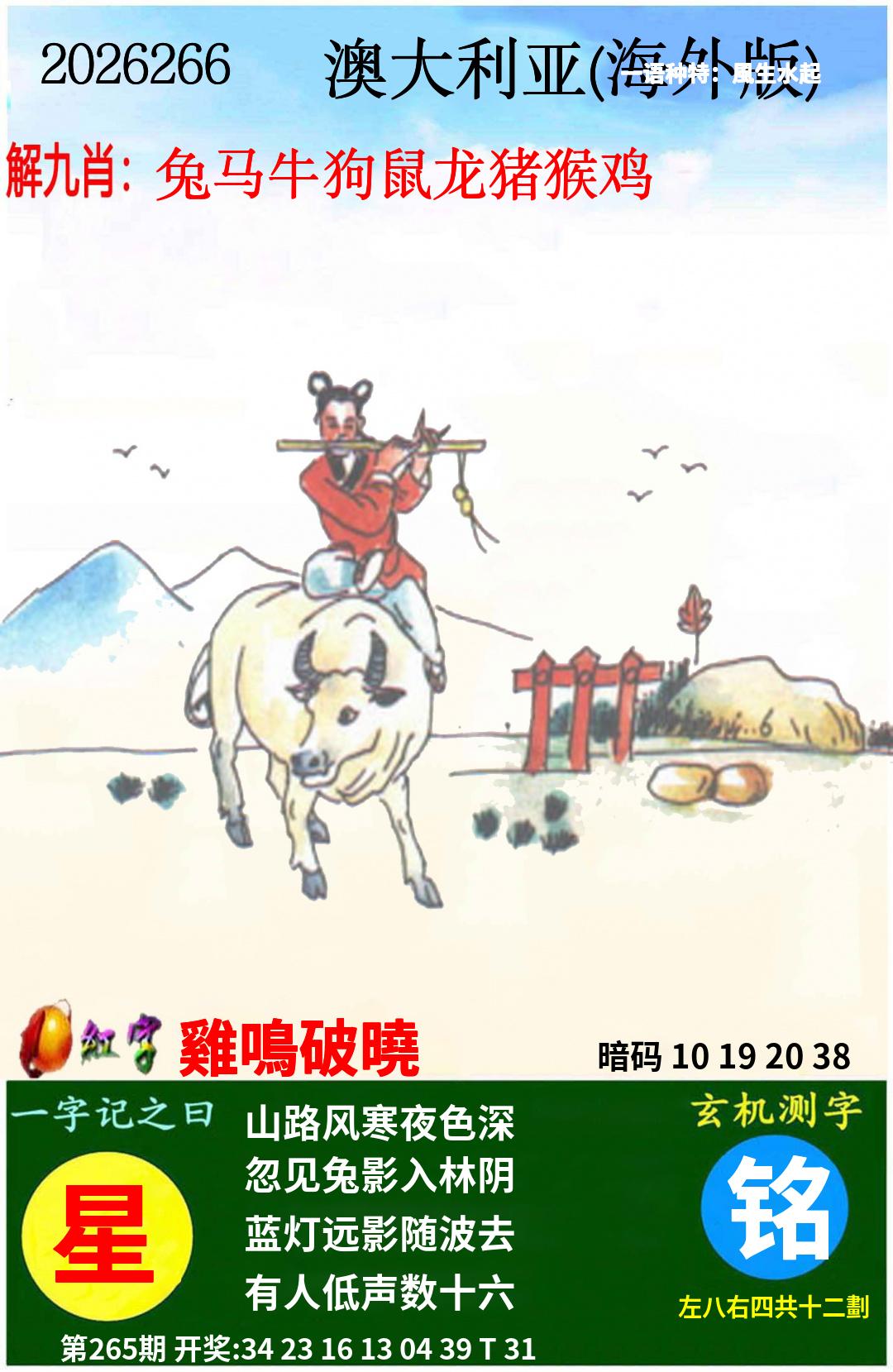 图片正在更新中……